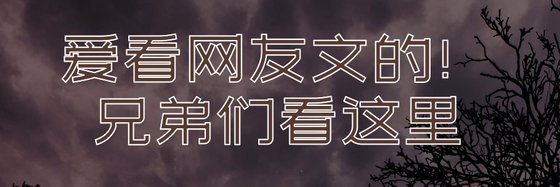 爱看网友文的！兄弟们看这里